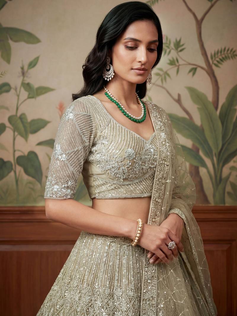 beige embroidered net lehenga set choli with dupatta