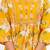 Yellow women embroiderd printed pure cotton kurta with trousers & with dupatta