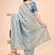 sky blue cotton woven work saree