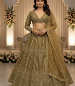 beige Georgette sequin Lehenga set with Choli and dupatta
