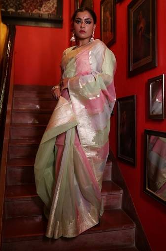 multicolor woven organza zari woven all seasons sarees