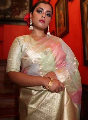 multicolor woven organza zari woven all seasons sarees 3
