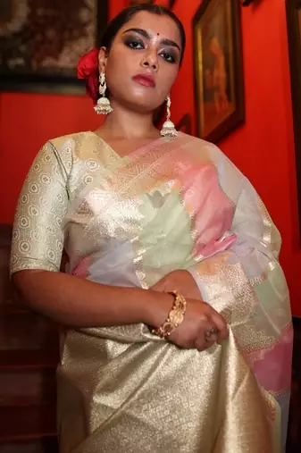 multicolor woven organza zari woven all seasons sarees