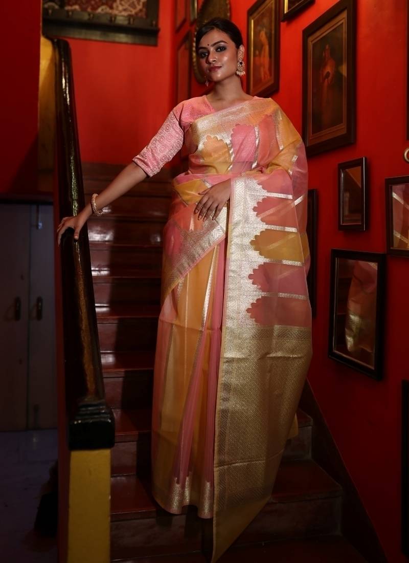 multicolor woven organza zari woven all seasons sarees