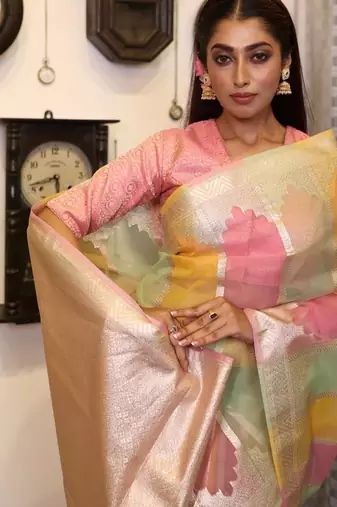 multicolor woven organza zari woven all seasons sarees