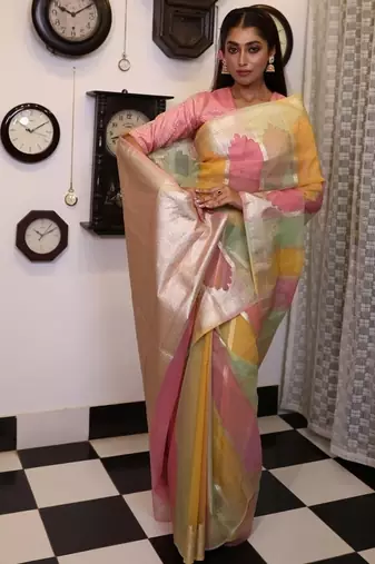 multicolor woven organza zari woven all seasons sarees