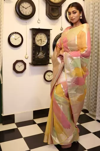 multicolor woven organza zari woven all seasons sarees