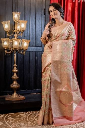 multicolor woven organza zari woven all seasons sarees