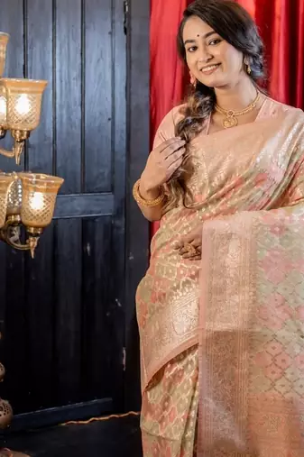multicolor woven organza zari woven all seasons sarees