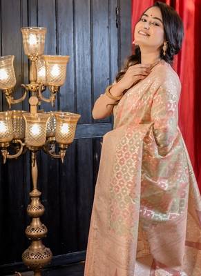 multicolor woven organza zari woven all seasons sarees 3