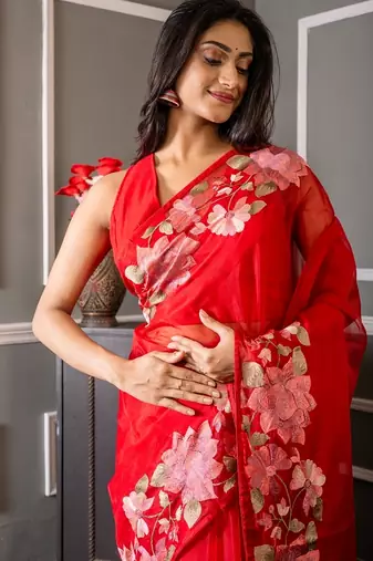 red embroidered organza hand embroidery all seasons sarees