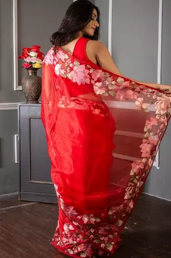 red embroidered organza hand embroidery all seasons sarees
