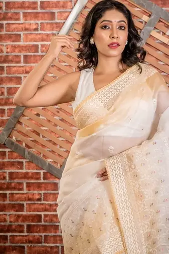 multicolor woven organza resham embroidery all seasons sarees