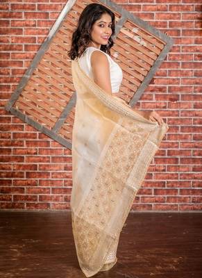 multicolor woven organza resham embroidery all seasons sarees 4