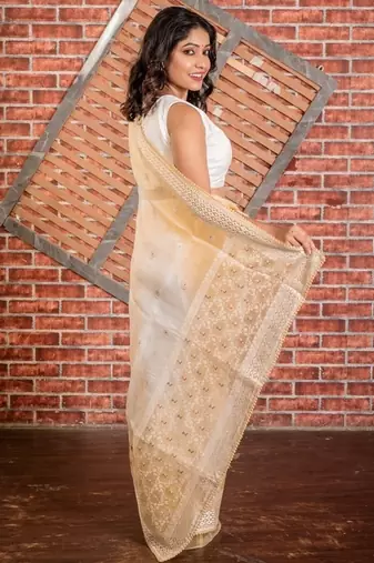 multicolor woven organza resham embroidery all seasons sarees