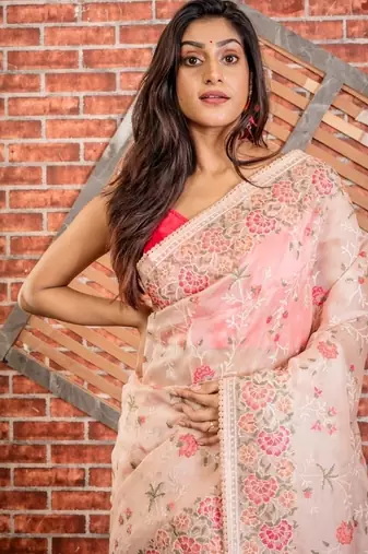 pink woven organza zari work all seasons sarees