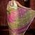 multicolor woven organza zari work all seasons sarees