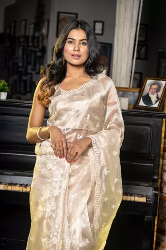 maroon woven glass tissue sequins work all seasons sarees