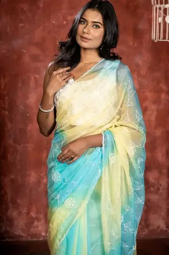 multicolor woven organza cutdana work all seasons sarees