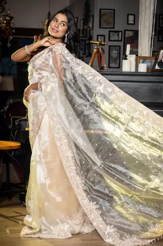 white woven glass tissue sequins work all seasons sarees