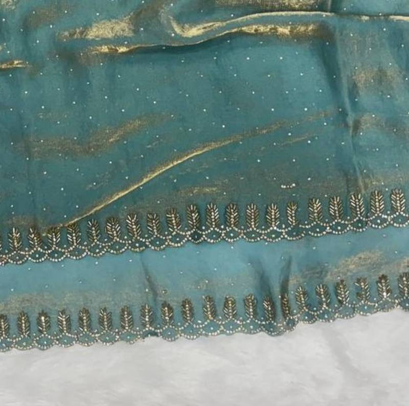 Sky Blue Color Jarkhan Diamond Work Space Silk Blend Saree