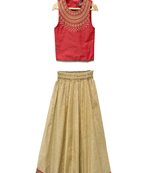 woven sleeveless embroidered top with lehenga-red & biege