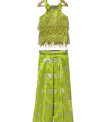 woven net sleeveless embroidered top with printed palazzo- limegreen