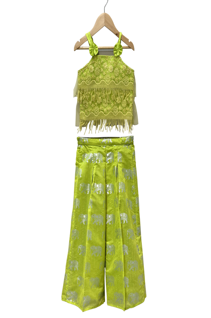 woven net sleeveless embroidered top with printed palazzo- limegreen