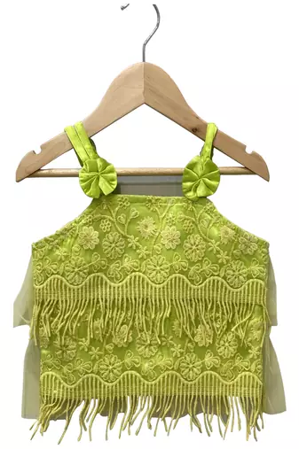 woven net sleeveless embroidered top with printed palazzo- limegreen