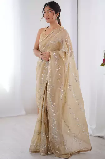 beige organza moti & val sequence party wear saree