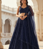 Navy Blue  Net Sequins & Dori Lehenga set with Choli and dupatta