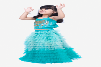 Elaisha woven sleeveless placement embroidered top with net lehenga-blue 3