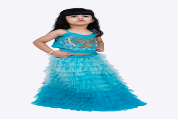 Elaisha woven sleeveless placement embroidered top with net lehenga-blue 4