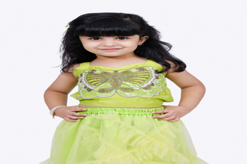 Elaisha woven sleeveless placement embroidered top with net lehenga-limegreen 5