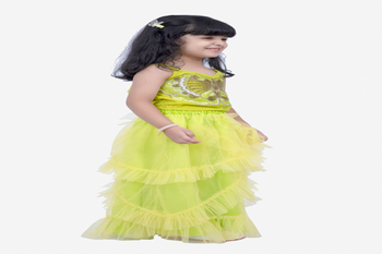 Elaisha woven sleeveless placement embroidered top with net lehenga-limegreen 4