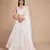 White Sequin Work Georgette Lehenga set with choli and dupatta