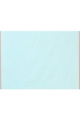 light sky blue cotton jamdani saree with temple border 5