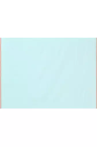 light sky blue cotton jamdani saree with temple border