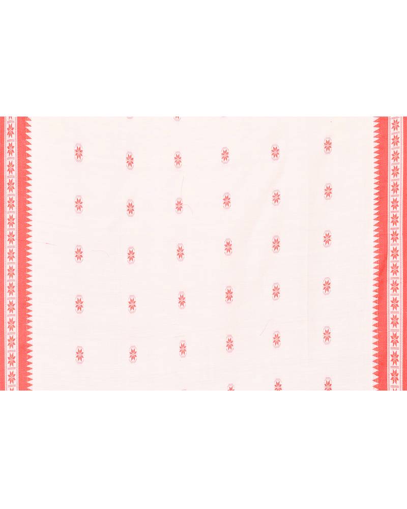 white cotton handloom saree with handwoven border