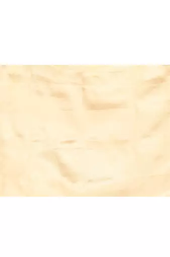 beige banarasi silk saree with handwoven zari border