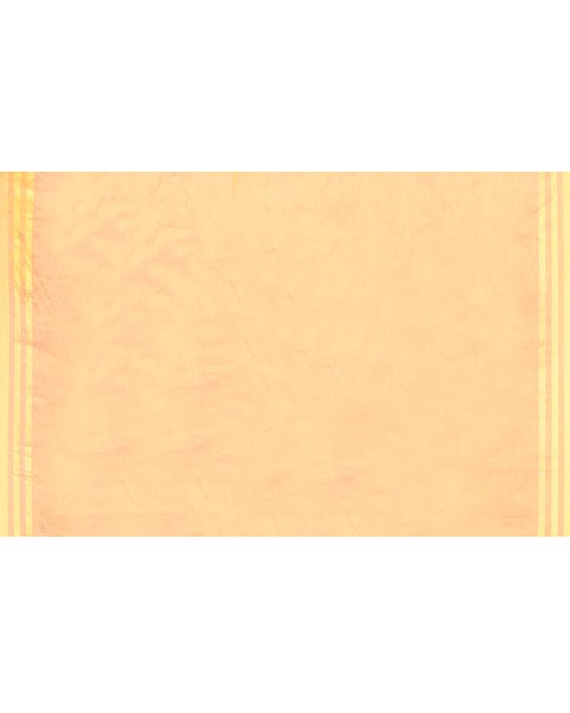 beige cotton tissue saree with zari border