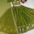 Olive green shimmer moss fabric Embroidered readymade Lehenga Choli Set with Dupatta
