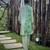 Green printed crepe kurta set