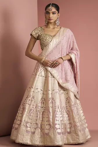 light pink organza brocade lehenga set with blouse and dupatta