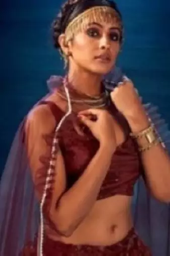 maroon organza lehenga set with choli and dupatta 