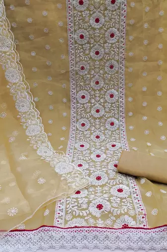 beige organza embroidered dress material