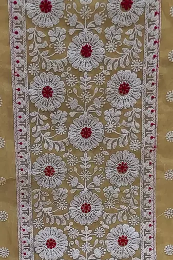beige organza embroidered dress material