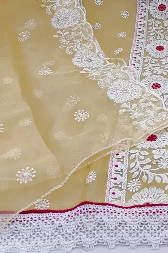 beige organza embroidered dress material
