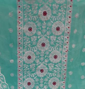 sky blue organza embroidered dress material 3