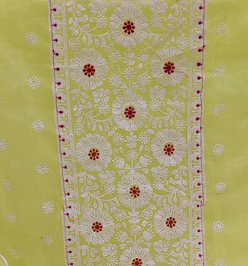 light yellow organza embroidered dress material 3